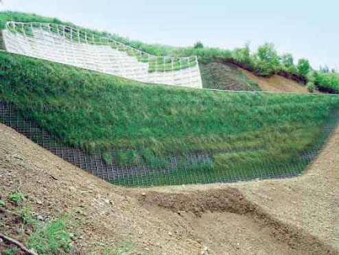 枠型の施工実績1 植生後