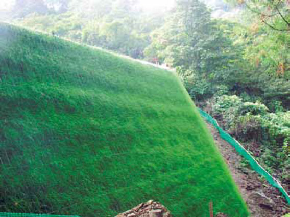 網型の施工実績2 植生後